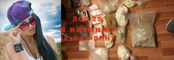 spice Богданович