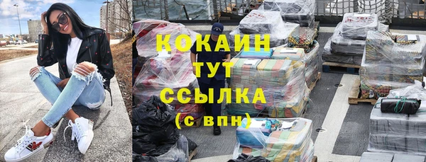 spice Богданович