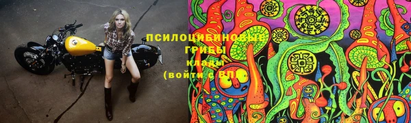 бошки Богородск