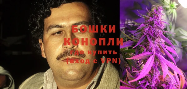 spice Богданович