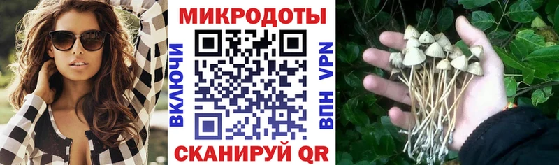 Галлюциногенные грибы Cubensis  Купить закладки  Дзержинский 